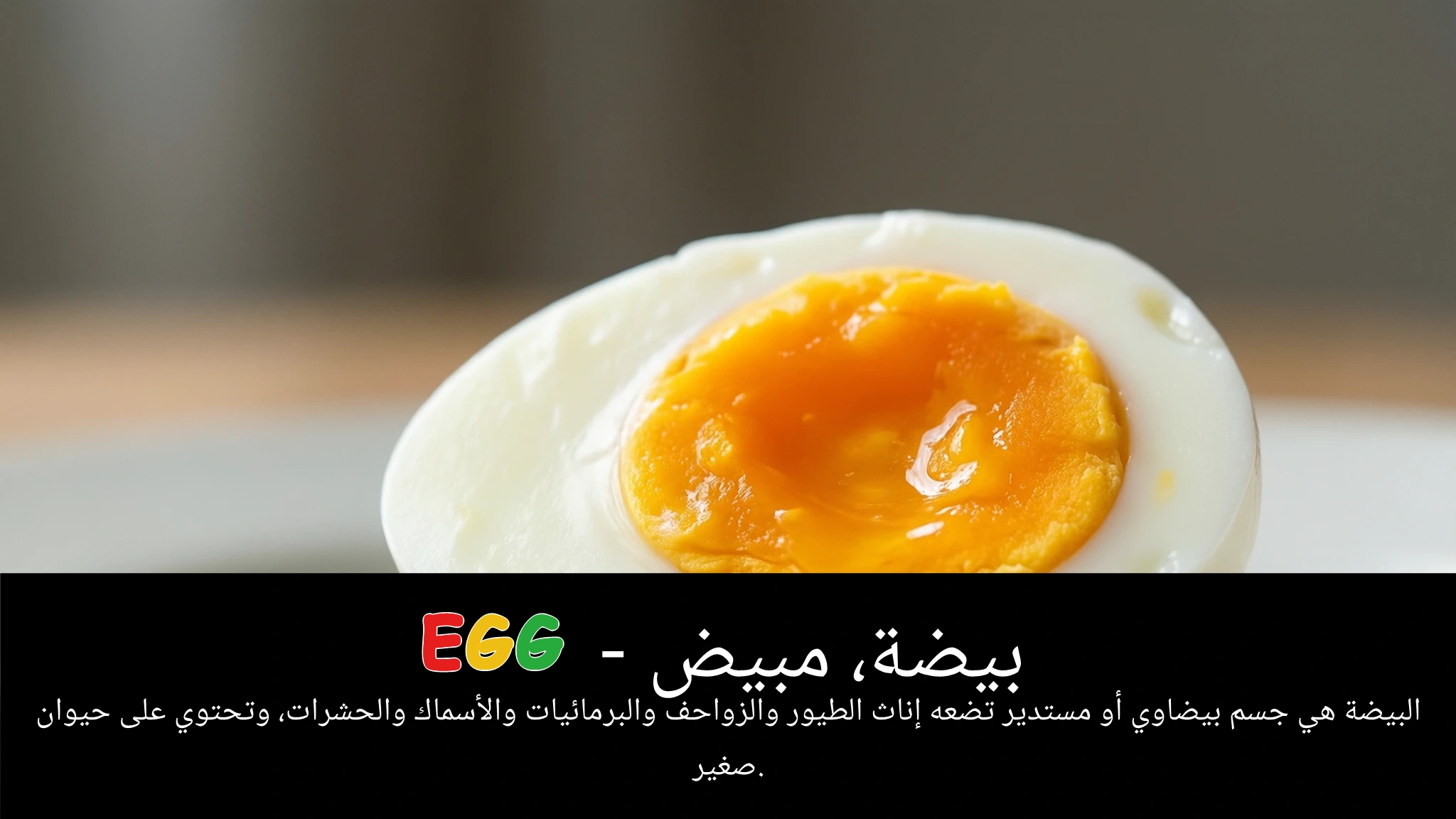 Arabic Illustration for egg